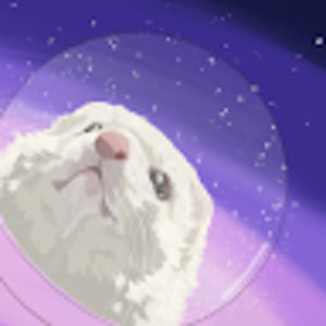 Meet your Posher, Finneas